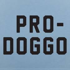 pro doggo t shirt 6 dollar shirts