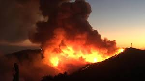 De brandweer probeert de hevige bosbrand in de bij toeristen populaire turkse kustprovincie antalya onder controle te krijgen. Pkk Eist Grote Bosbranden In Zuid En West Turkije Op
