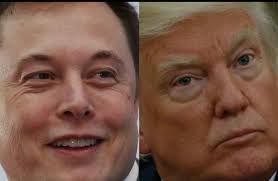 Has Elon Musk violated his Oath of Citizenship ?