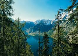 Download wilderless apk for android. Wilderness Wallpaper Wilderness Backgrounds 1772x1270 Download Hd Wallpaper Wallpapertip