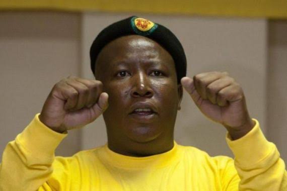 Will Marikana resurrect Julius Malema? | Features | Al Jazeera