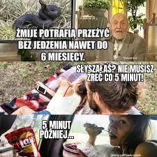 Pit bull zaatakował kobietę i jej psa. Fantazje 4x4 Memy Z Offroadu Wziete Facebook