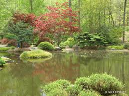 jardin japonais jardin japonais jardins japon