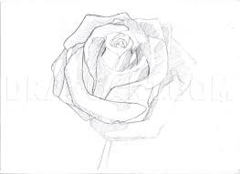 20 beautiful bouquet and flower oil paintings by szechenyi szidonia. How To Draw A Rose In Pencil Draw A Realistic Rose Step By Step Drawing Guide By Duskeyes969 Dragoart Com