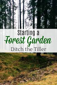 Ditch The Tiller This Year And Start A Forest Garden Gardening Homestead Forest Garden Food Forest Garden Garden In The Woods