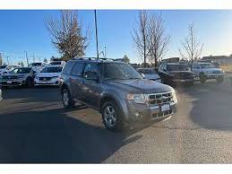 Image result for Monterey 2009 Escape