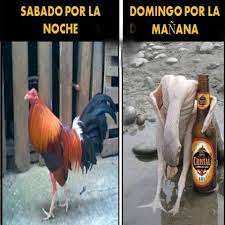 Pin En Chistes