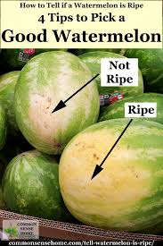 That first sign you need to look for are any dark spots also better known as molds. How To Tell If A Watermelon Is Ripe 4 Tips To Pick A Good Watermelon
