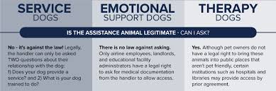 Apply for a permit or purchase a pass. Is That A Real Service Dog Or Is It Just Someone S Pet Orvis News