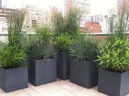 Average rating:0out of5stars, based on0reviews. Gardens Alexandra Abuza Rooftop Garden Modern Planters Outdoor Backyard
