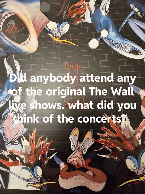 Wall Tour 80-81 : r/pinkfloyd