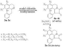 Image result for Lettowianthus stellatus