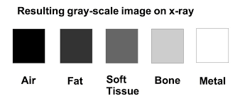 X Rays Undergraduate Diagnostic Imaging Fundamentals