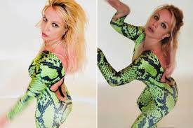 Image result for britney spears python