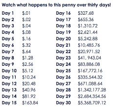 how much does a penny doubled every day for a month end up