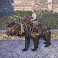 This includes mounts, costumes, and outfits. Online Mounts Ursines The Unofficial Elder Scrolls Pages Uesp