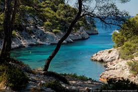 Turquoise Sea In Port Pin Calanque Creek Mediterranean Sea Cassis South Of France Best Vacation Destinations France Travel South Of France