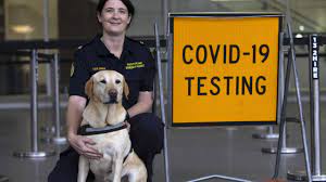 You can't get closer to your gate than atura adelaide airport, which is located at the airport itself! Adelaide Airport Begins Covid 19 Detector Dog Trial