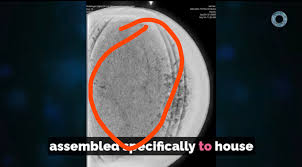 There are no "microspheres" in the buga sphere : r/aliens