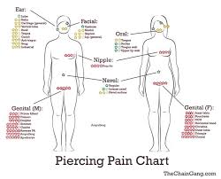 Pain Level Chart Body Piercing