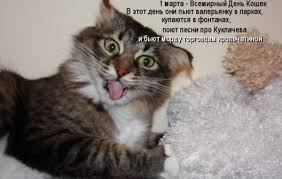 Дружба, животные, кошки на развлекательном портале fishki.net á‰ Otkrytki S Dnem Rozhdeniya Kotyata Pozdravleniya S Dnem Koshek Prazdnikspb Su