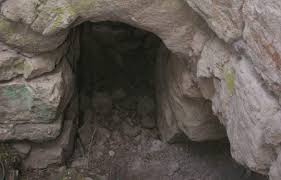 Vero weffer onlyfans xxx If she is ever around your area