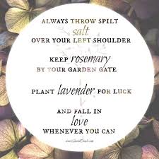 Pin On Practical Magic