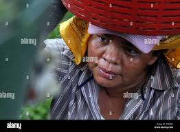 15 hectares hi-res stock photography and images