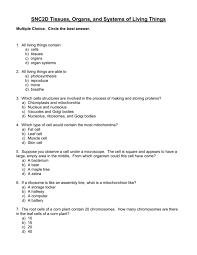 Mitosis in a plant cell with 20 chromosomes. Tissues Organs Systems Review 2013 1