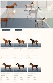 Marketplace Sell And Buy Crypto Horses Horse Breeds Breeding Games Horses