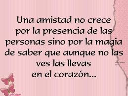 Gracias a ti descubrí lo que es una amistad verdadera. Frasesamistad Imagenesamistad Frases Sobre La Amistad Verdadera Reflexiones Am Imagenes De Amistad Con Frases Imagenes De Amistad Frases De Amistad