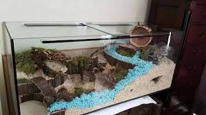 Pin By Taina Keskimaki On Hamster Hamster Cages Hamster Habitat Mouse Cage
