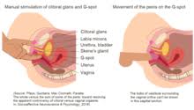 When they spotted red but not white cloth. G Spot Wikipedia