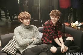 Exo Next Door K Pop World