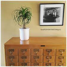The plant list compiled by the royal botanic gardens. General Finishes Golden Pine Gel Stain Was The Perfect Match To The Original Finish On This 60 Drawer Mid Century Card Cata Gel Stain Card Catalog My Furniture