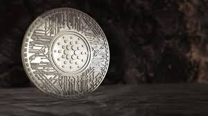 I really don't take any stock in anybody's price forecast's in crypto but a 1 year forecast at negative 100%!!!! Cardano Ada Price Prediction 2021 Updated