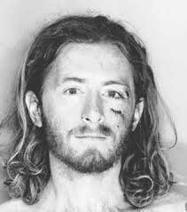 Fifteen years for gun thefts