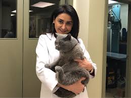 We are dedicated to providing exceptional, affordable veterinary services to our clients and the pets we care for. Veterinarians Highlands Animal Hospital Vca Canada Animal Hospitals
