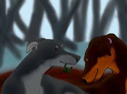 I just started reading them but i like them and i only read a little of. Storm X Whisper Survivor Dogs Opinions Theorys And Rants