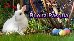 Trova l'augurio più suggestivo ed invia gli auguri di buona pasqua con le nostre frasi che ti svegliera' sara' il mio primo pensiero rivolto a te, augurandoti: Auguri Di Buona Pasqua 2021 Ti Auguro Una Buona Pasqua Video Auguri Di Pasqua Per Whatsapp Youtube