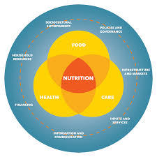 Systems Thinking and Action for Nutrition | SPRING