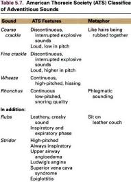 Adventitious Lung Sounds Med Surg Nursing Nursing