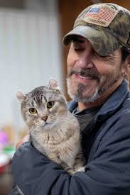 Cats compete in agility and best in show