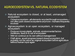 02 Agroecosystem Concept Ppt Video Online Download