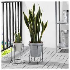 Ikea Us Furniture And Home Furnishings Plant Stand Indoor Ikea Plants Plant Stand