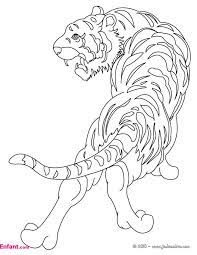 Prix de détail suggéré prix de vente initial37,00 eur. Coloriages Pour Fille Le Tigre