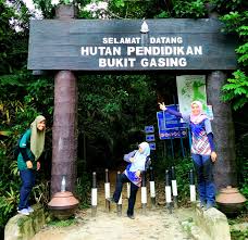It is a famous place for hiking. Bukit Gasing Hiking