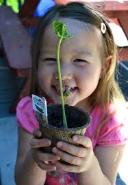 Oswego County TodayChildren's Museum of Oswego Is 'Veggin' Out' At The  Oswego Farmers' Market