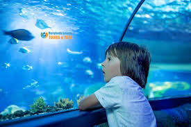 متحف الاحياء المائية بالإسكندرية أفضل أماكن الترفيه والفسح في مصر تاريخ بناء اكواريوم الإسكندرية Egypt Travel Hurghada Alexandria