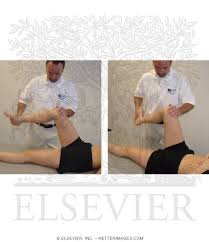 Image result for McMurray Test